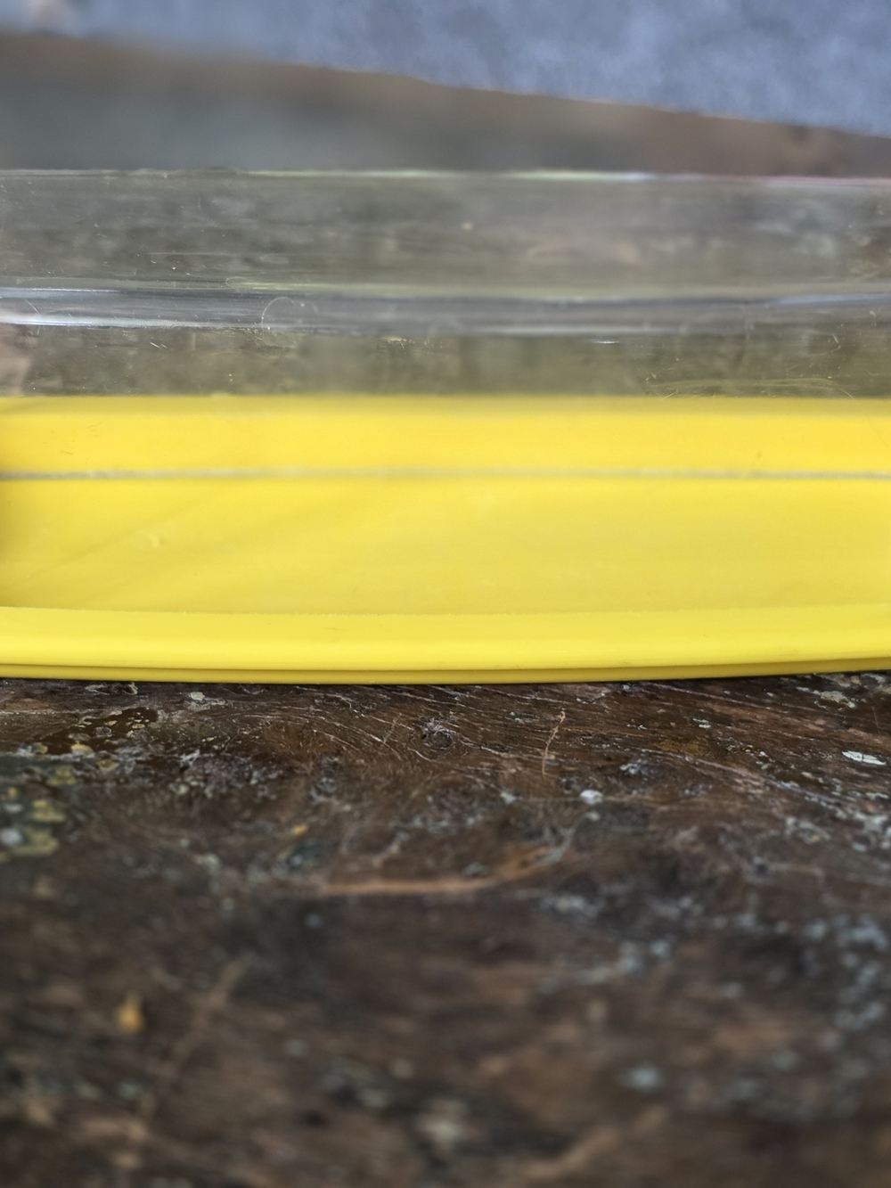 Retro 1960's Yellow Clear Acrylic Butter Dish 8X3X2